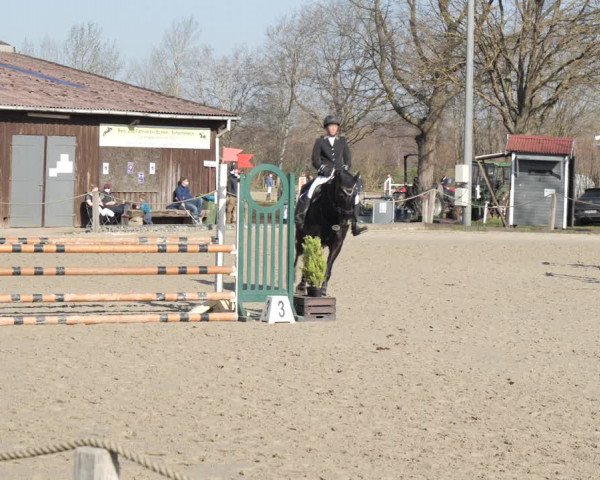 Reitturnier Scharnebeck 2021