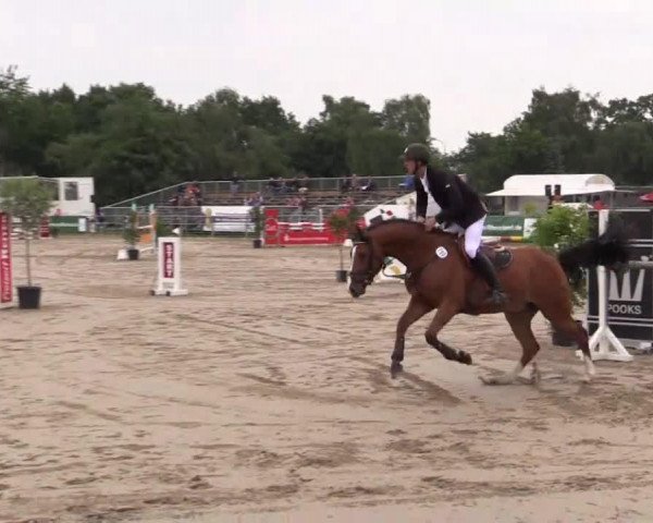 jumper Linus H (Hanoverian, 1989, from Lanthan)