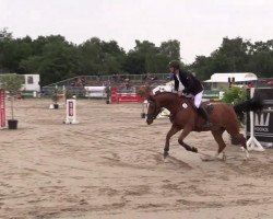jumper Linus H (Hanoverian, 1989, from Lanthan)