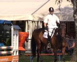 jumper Larkin 2 (Hanoverian, 1997, from Lafontaine)