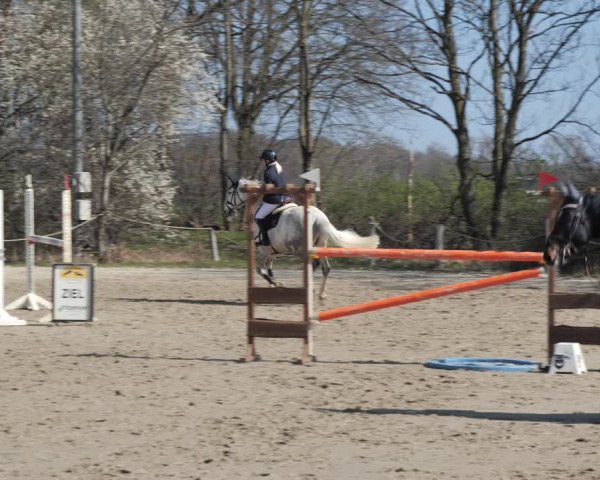 Reitturnier Scharnebeck 2021