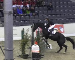 jumper Ginger Ale S (Hanoverian, 1997, from Graf Remus)