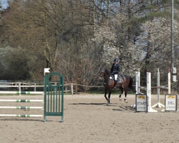 Reitturnier Scharnebeck 2021