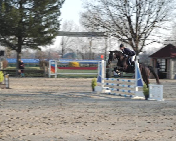 Reitturnier Scharnebeck 2021
