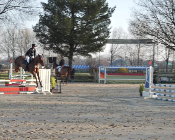 Reitturnier Scharnebeck 2021