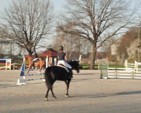 Reitturnier Scharnebeck 2021
