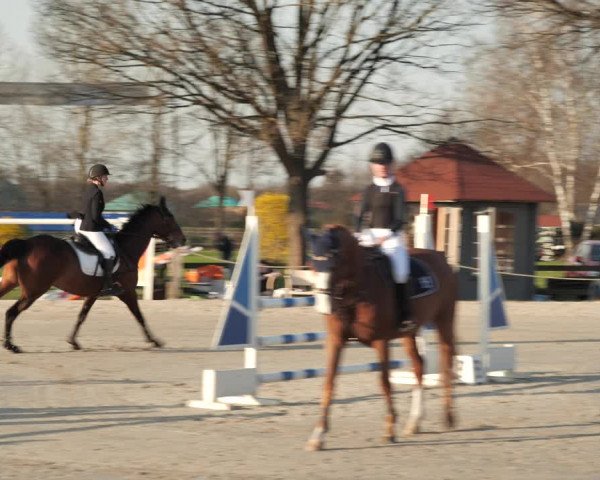 Reitturnier Scharnebeck 2021