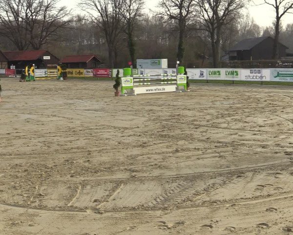 Reitturnier Münster-Handorf 2021