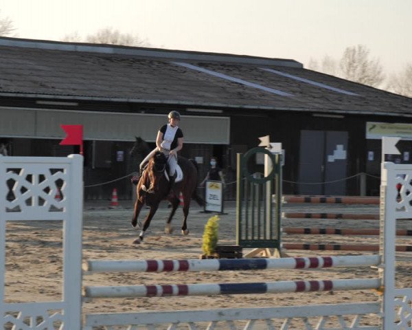Reitturnier Scharnebeck 2021