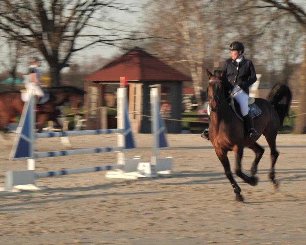 Reitturnier Scharnebeck 2021