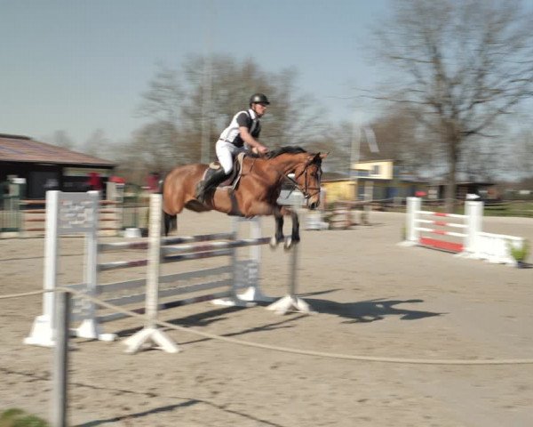 Reitturnier Scharnebeck 2021