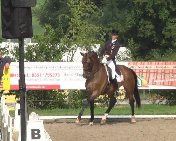dressage horse Wonder FRH (Hanoverian, 1997, from Werther)