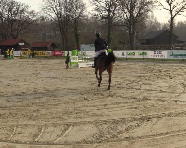 Reitturnier Münster-Handorf 2021