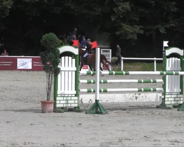 broodmare Wolke (Hanoverian, 1998, from Weltmeyer)