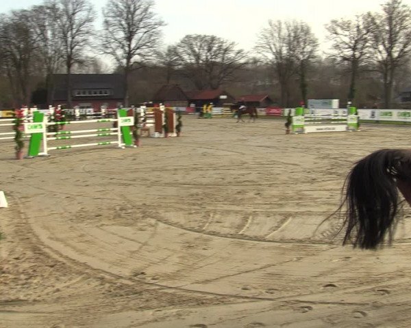 Reitturnier Münster-Handorf 2021
