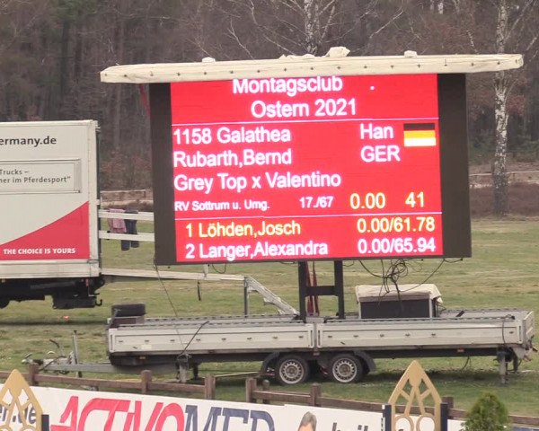 Reitturnier Westergellersen 2021