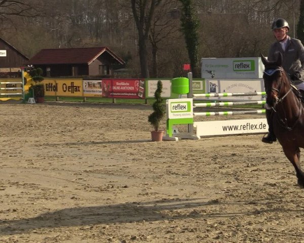 Reitturnier Münster-Handorf 2021