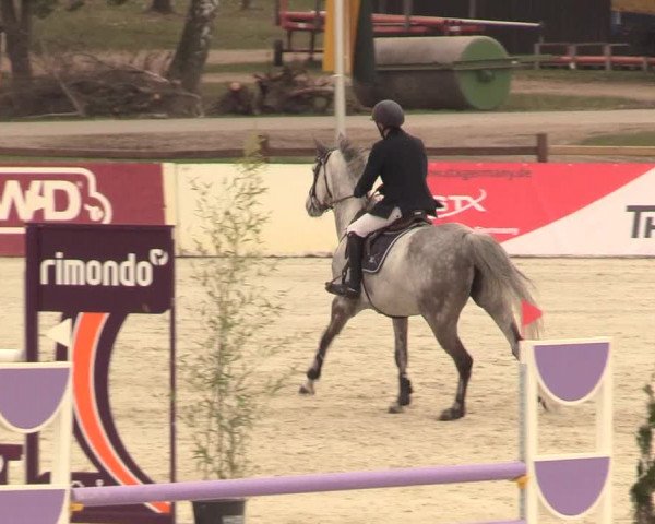Reitturnier Westergellersen 2021