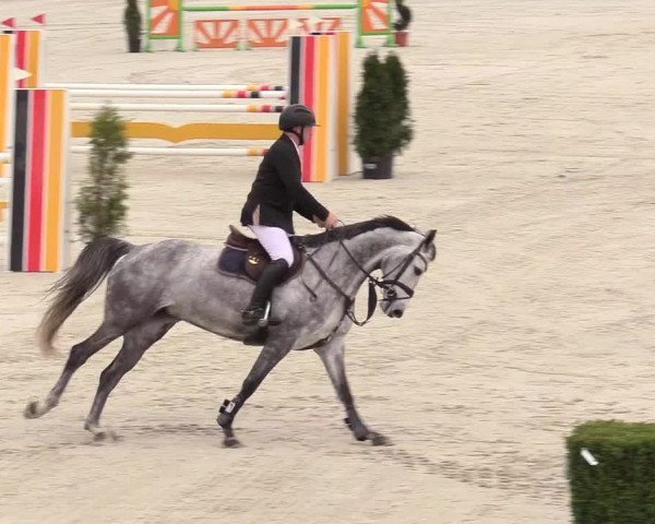 Reitturnier Westergellersen 2021