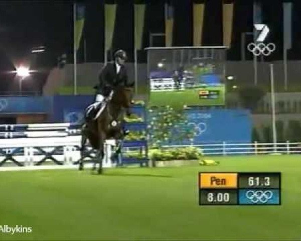 horse FRH Little Lemon (Hanoverian, 1991, from Lemon xx)