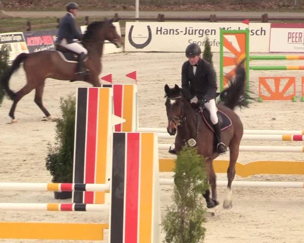 Reitturnier Westergellersen 2021