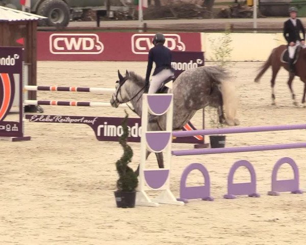 Reitturnier Westergellersen 2021
