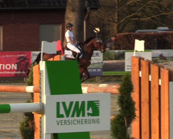 Reitturnier Münster-Handorf 2021
