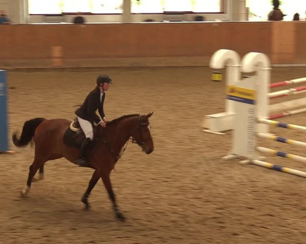 Reitturnier Prussendorf 2021