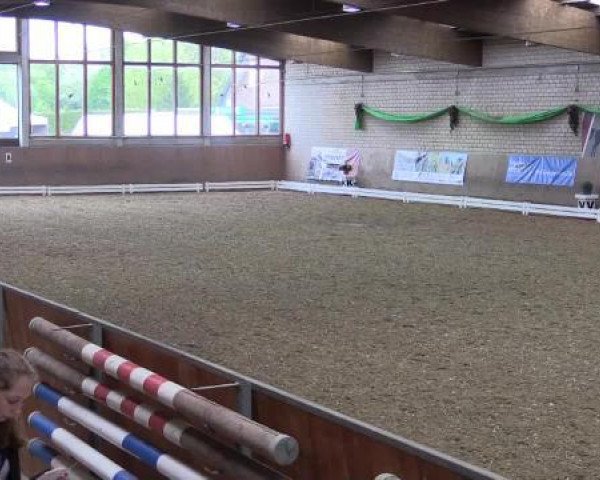 dressage horse Sun Rubin 2 (Hessian Warmblood, 2002, from Silvano)