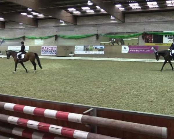 broodmare Close To Heaven 2 (Oldenburg, 2009, from Christ)