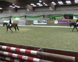 broodmare Close To Heaven 2 (Oldenburg, 2009, from Christ)