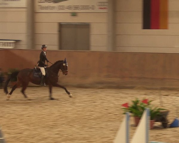 Reitturnier Prussendorf 2021