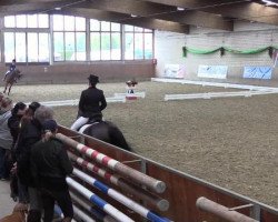 dressage horse Winnie the Pooh 18 (Hanoverian, 2003, from Weltmeyer)