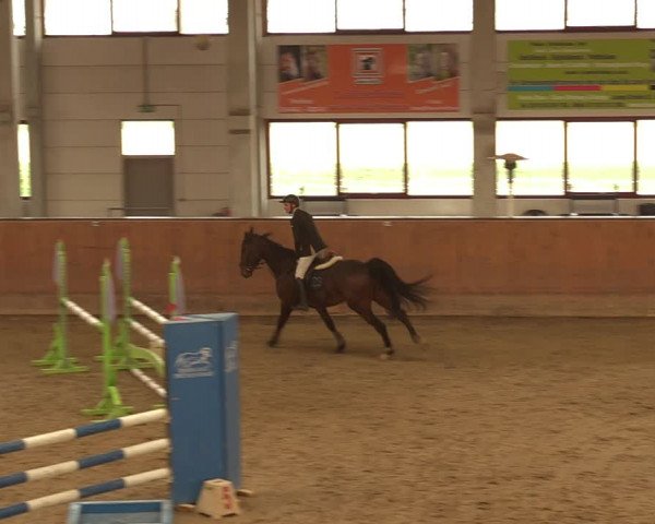 Reitturnier Prussendorf 2021