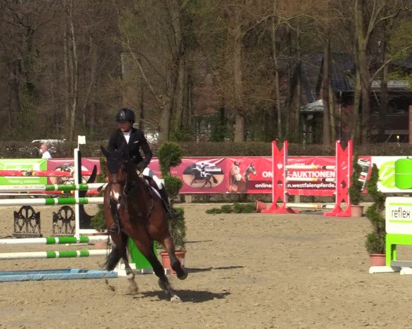 Reitturnier Münster-Handorf 2021