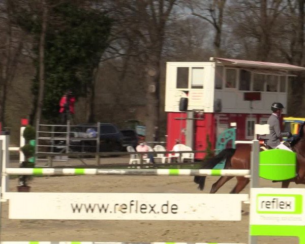 Reitturnier Münster-Handorf 2021