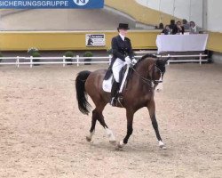 dressage horse Duke of Swing (Oldenburg, 2007, from Don Romantic)