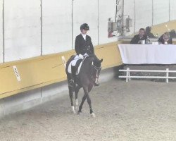 Dressurpferd Ruby's As (Deutsches Reitpony, 2003, von Ruby Gold)