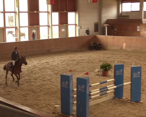 Reitturnier Prussendorf 2021