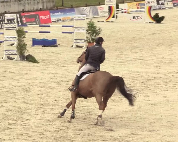Reitturnier Westergellersen 2021