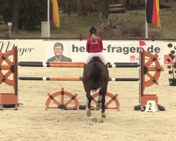 Reitturnier Westergellersen 2021