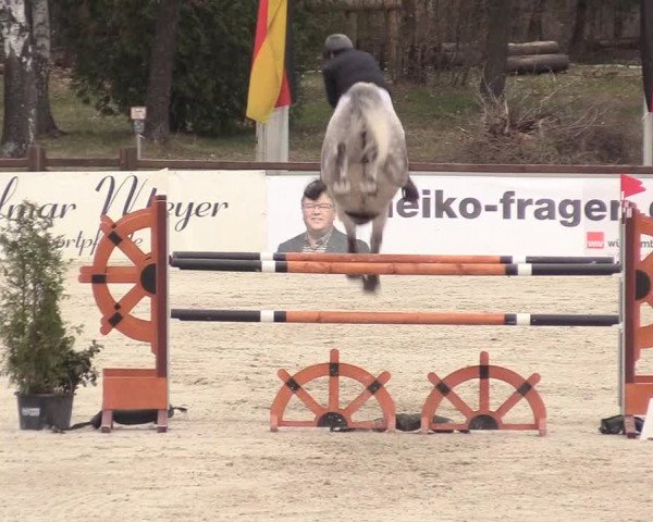 Reitturnier Westergellersen 2021