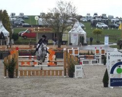 broodmare Calana 4 (Holsteiner, 2007, from Calato)