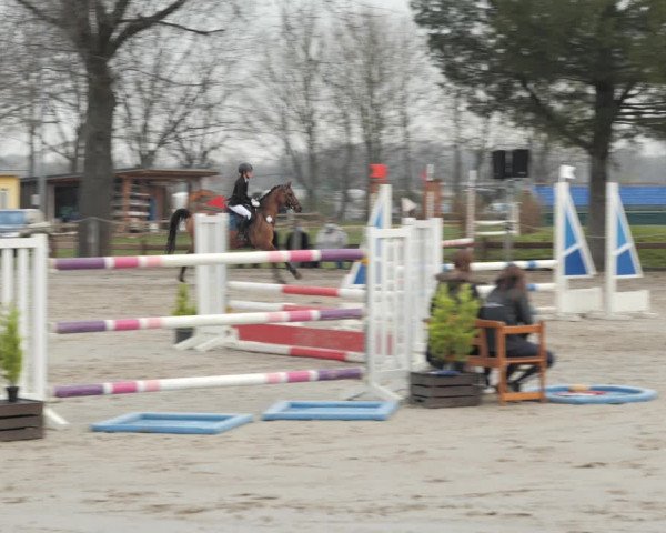 Reitturnier Scharnebeck 2021