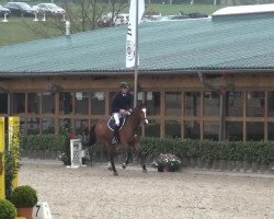 jumper Little Bit 9 (Holsteiner, 2007, from Landos)