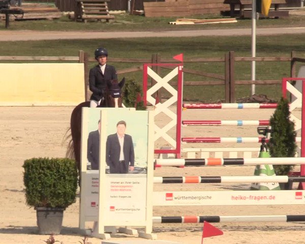 Reitturnier Westergellersen 2021