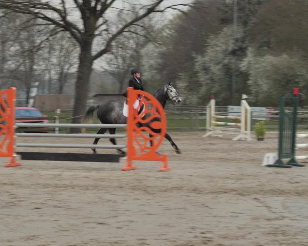 Reitturnier Scharnebeck 2021