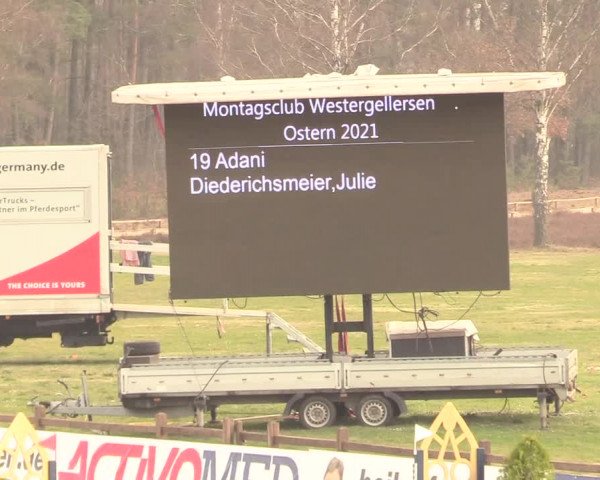 Reitturnier Westergellersen 2021