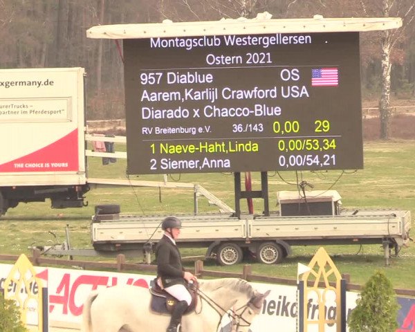 Reitturnier Westergellersen 2021