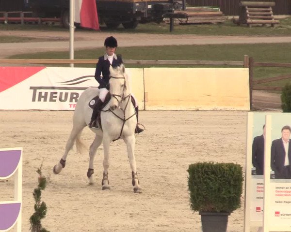 Reitturnier Westergellersen 2021